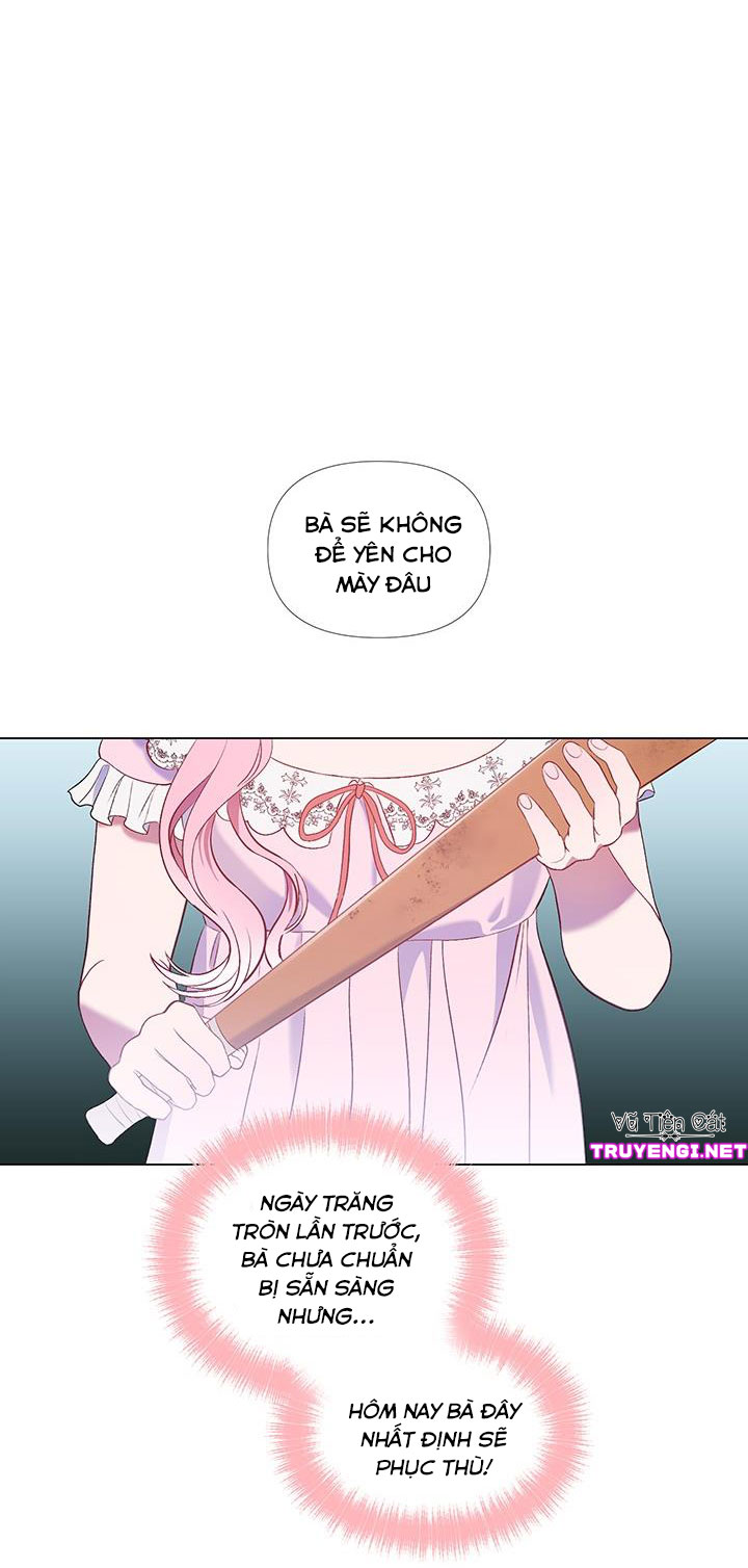 elizabeth chapter 7 64