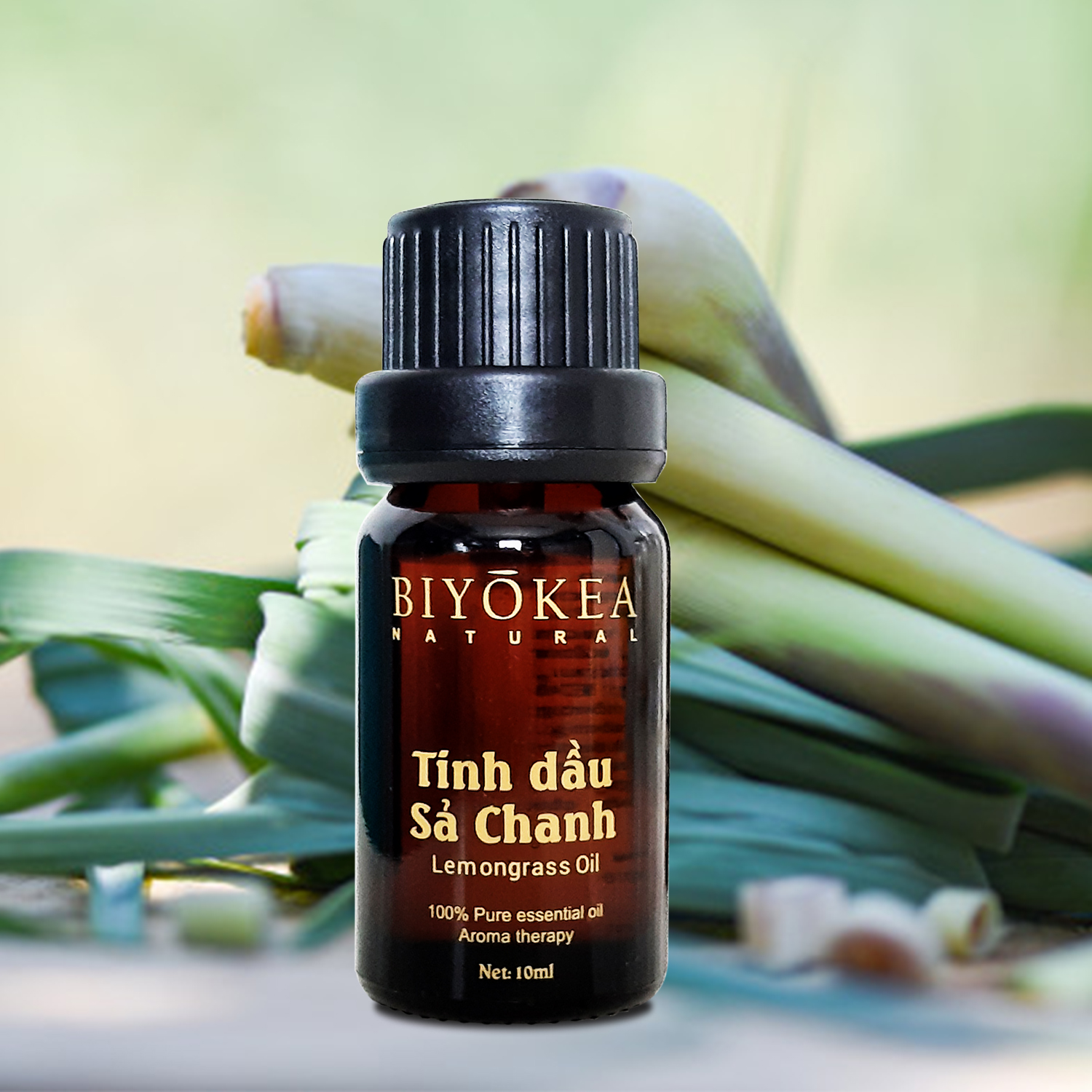 Combo 2 chai tinh dầu Sả chanh thiên nhiên Biyokea xông phòng đuổi muỗi, xông khử mùi dung tích 10ml