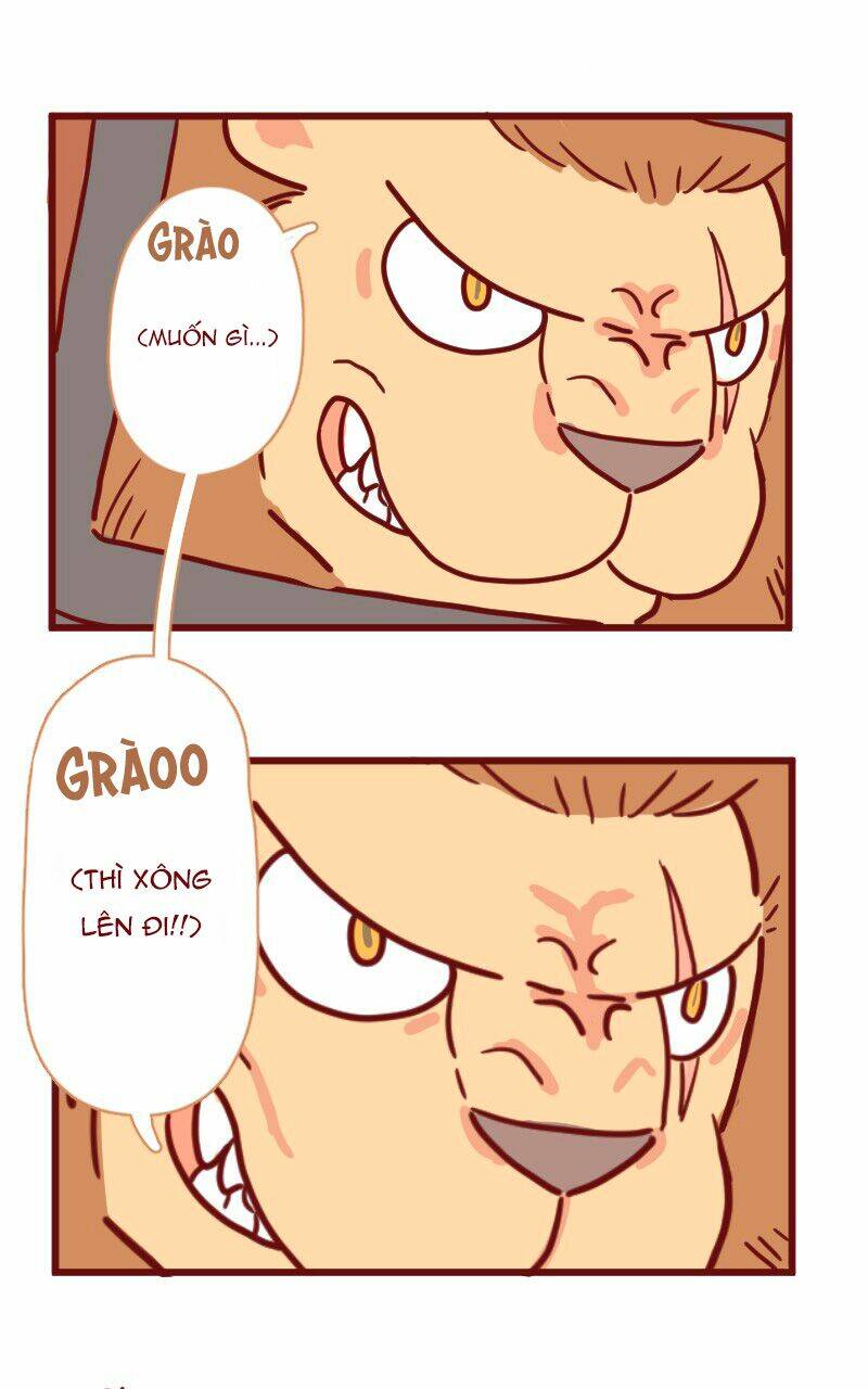 saphie: chú mèo một mắt chapter 14 8