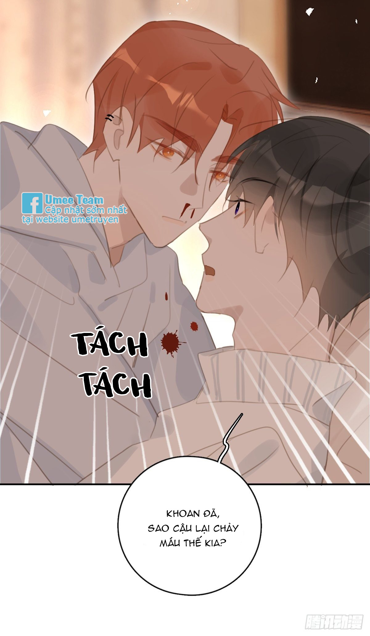 đêm đầy sao nói với em chapter 56 24