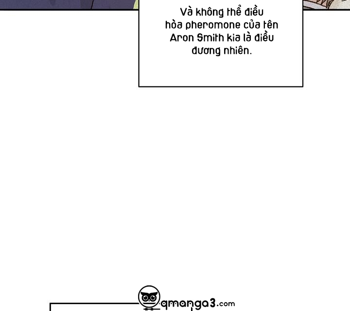 chàng tuấn mã của tôi chapter 40 95