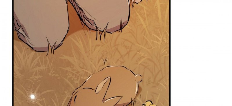 những chú thỏ của hapypy chapter 23.5 135