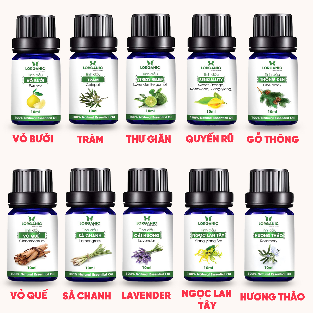 Tinh Dầu Xông Phòng Thư Giãn, Đuổi Muỗi 10ml LORGANIC Sả Chanh, Quế, Bạc Hà, Oải Hương Lavender, Tràm, Ngọc Lan Tây, Hương Thảo, Stress Relief, Sensual, Cam, Vỏ Bưởi, Bạch Đàn Chanh, Bưởi Chùm, Hoắc Hương, Long Não, Pơ Mu, Thông Đen