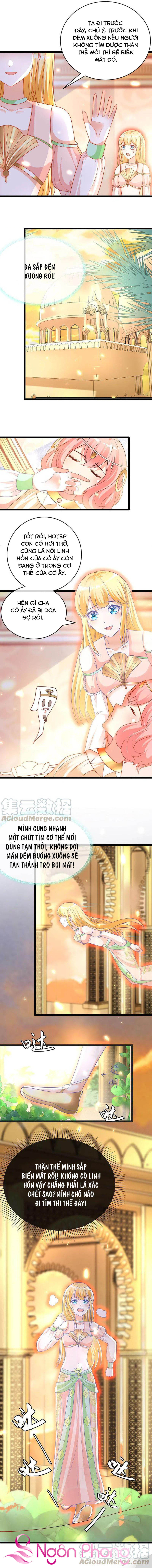 sủng hậu của vương chapter 116 7