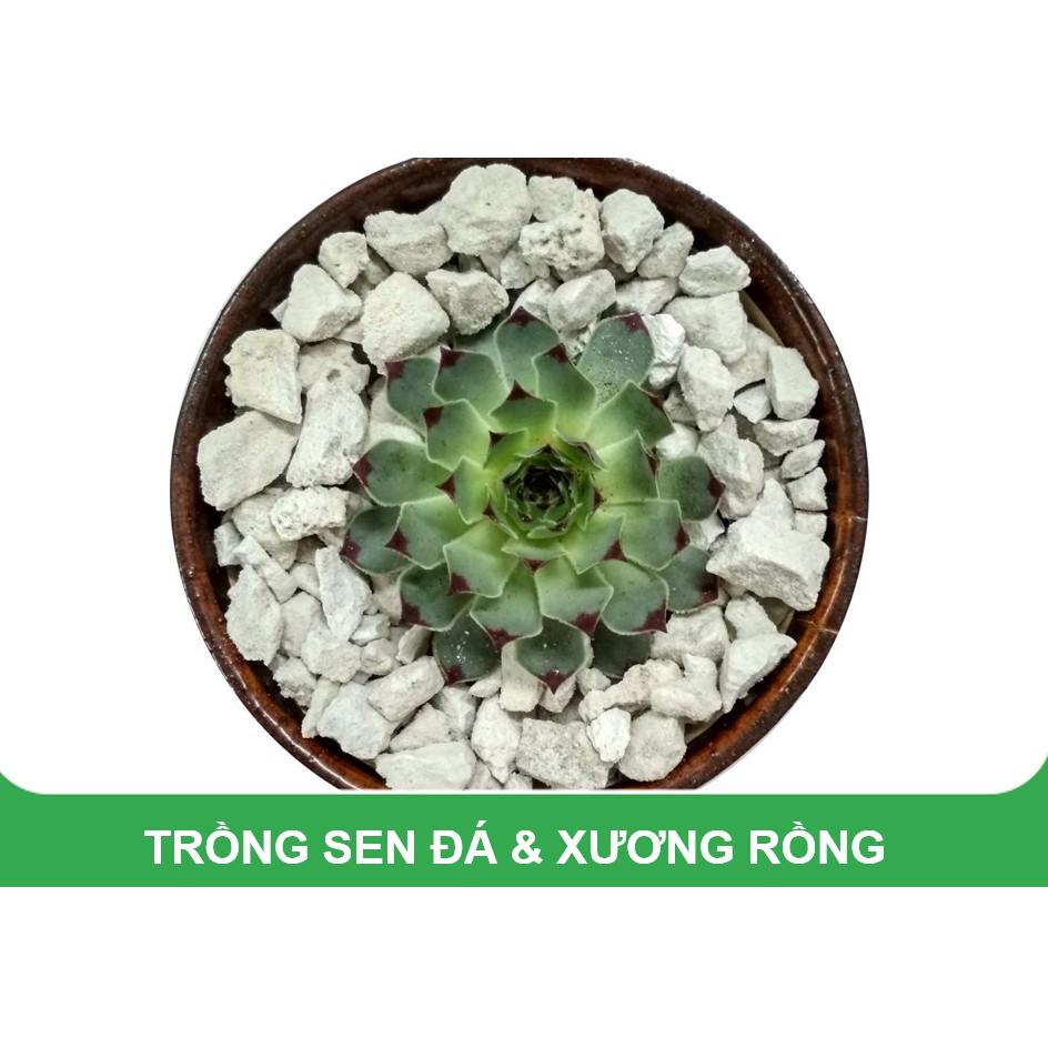 1kg Đá bọt Pumice Indonesia
