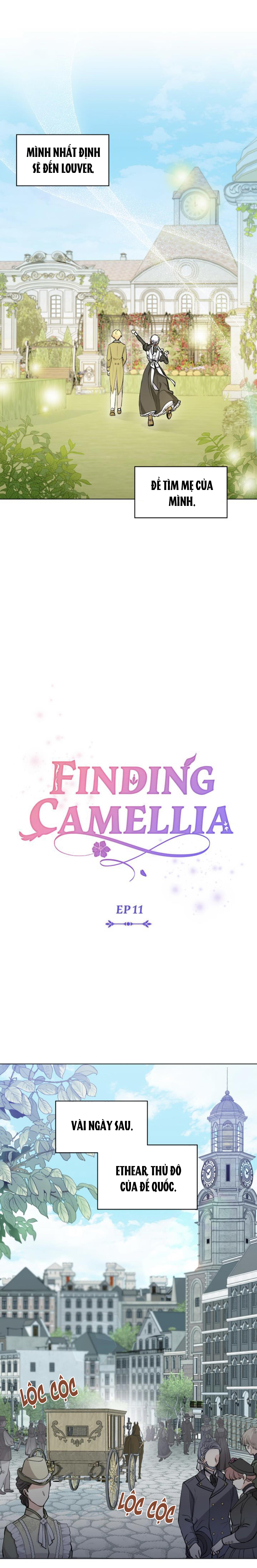 đi tìm nàng camellia chapter 11 11