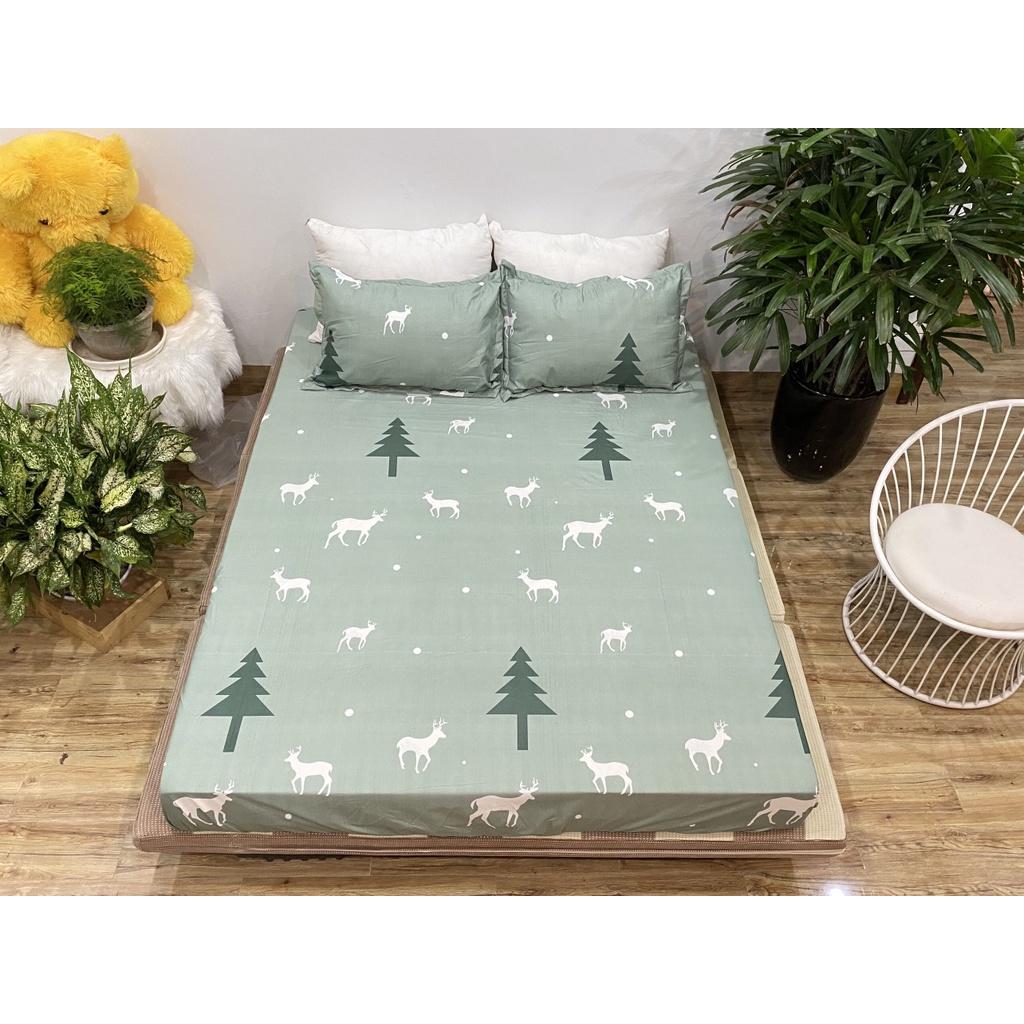 Set ga 3 món 1 ga chun và 2 vỏ gối các kích thước