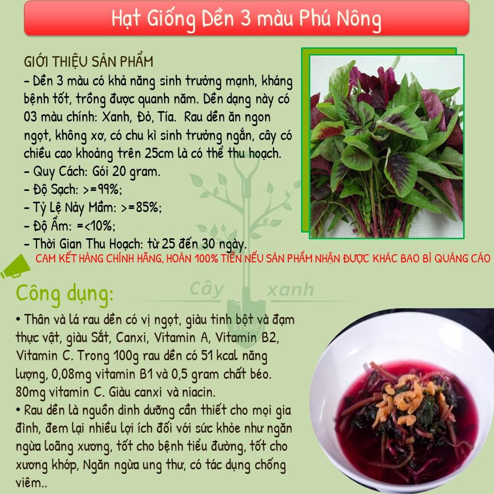 Hạt Giống Rau Dền Ba Màu 20Gr