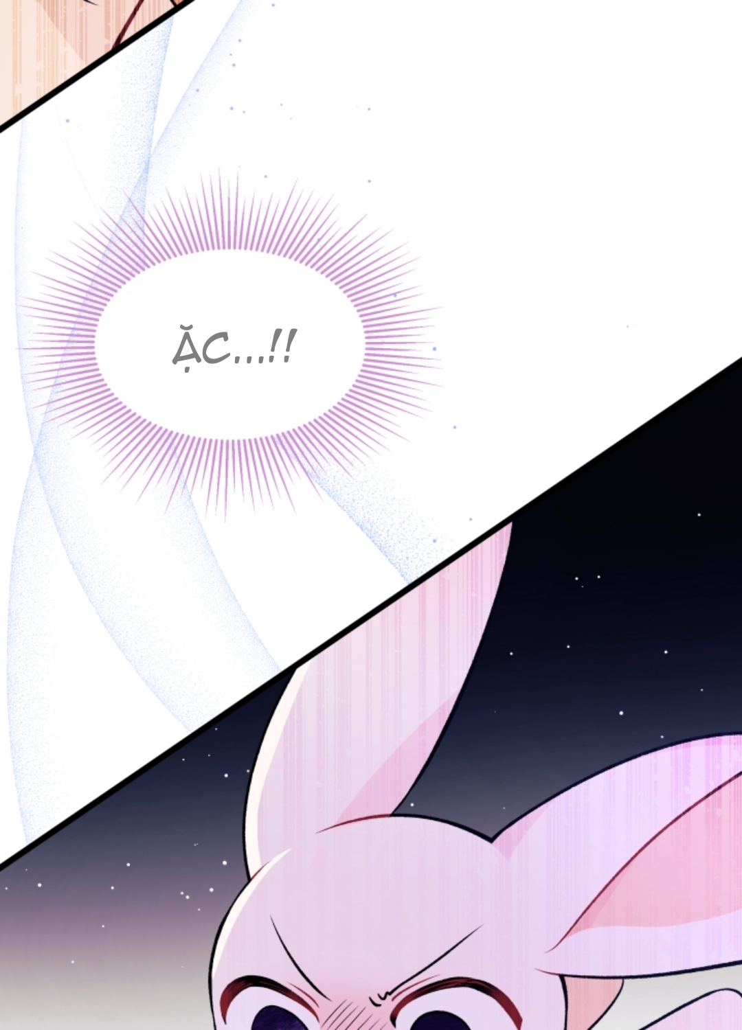 mối liên kết giữa báo đen và bé thỏ chapter 35 62