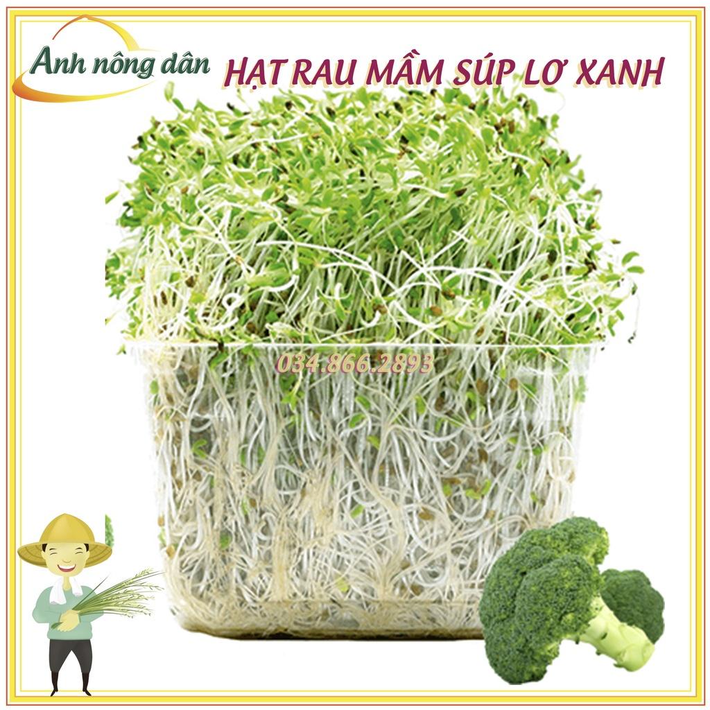 Gói 20g Hạt rau mầm rau súp lơ xanh - hạt chất lượng tốt, nảy mầm đồng đều