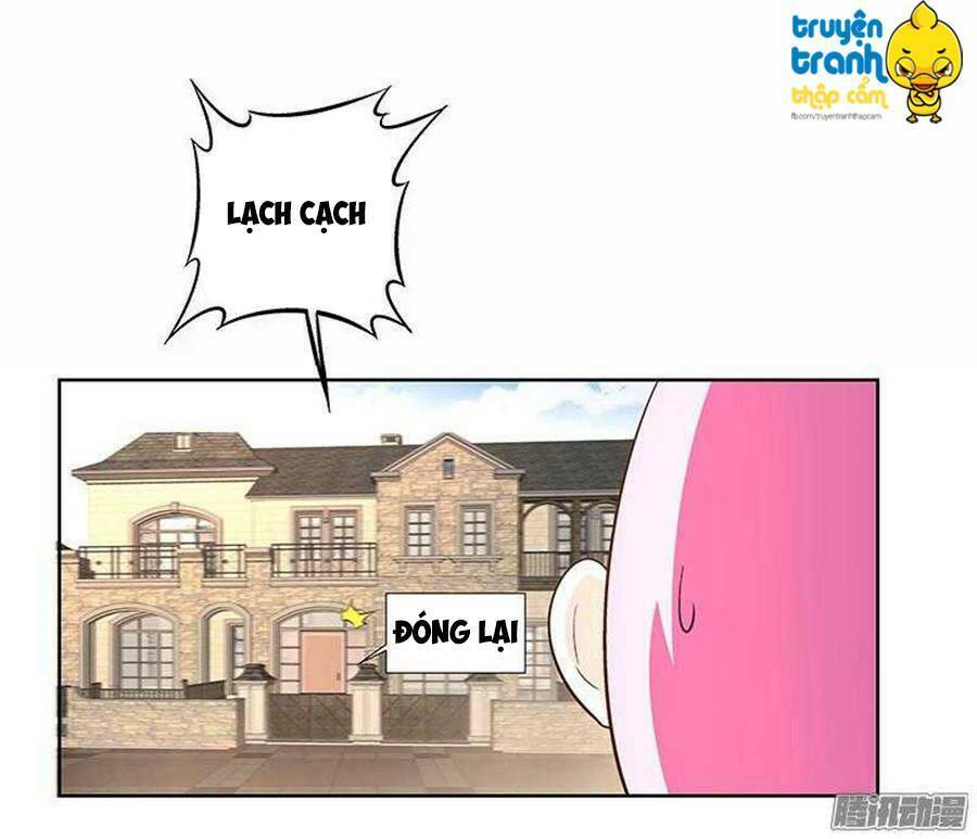 cường sủng hào môn tiểu manh thê chapter 25 17