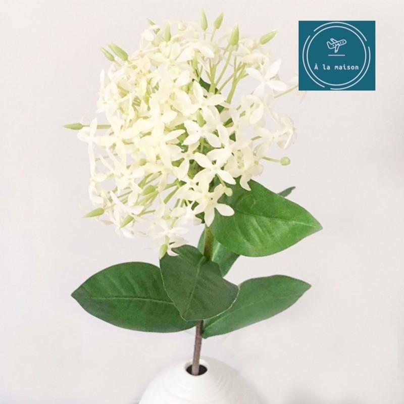 Cành hoa Thiên thảo cao 65cm trang trí sang trọng, hoa lụa cao cấp, hoa decor, hoa cô dâu