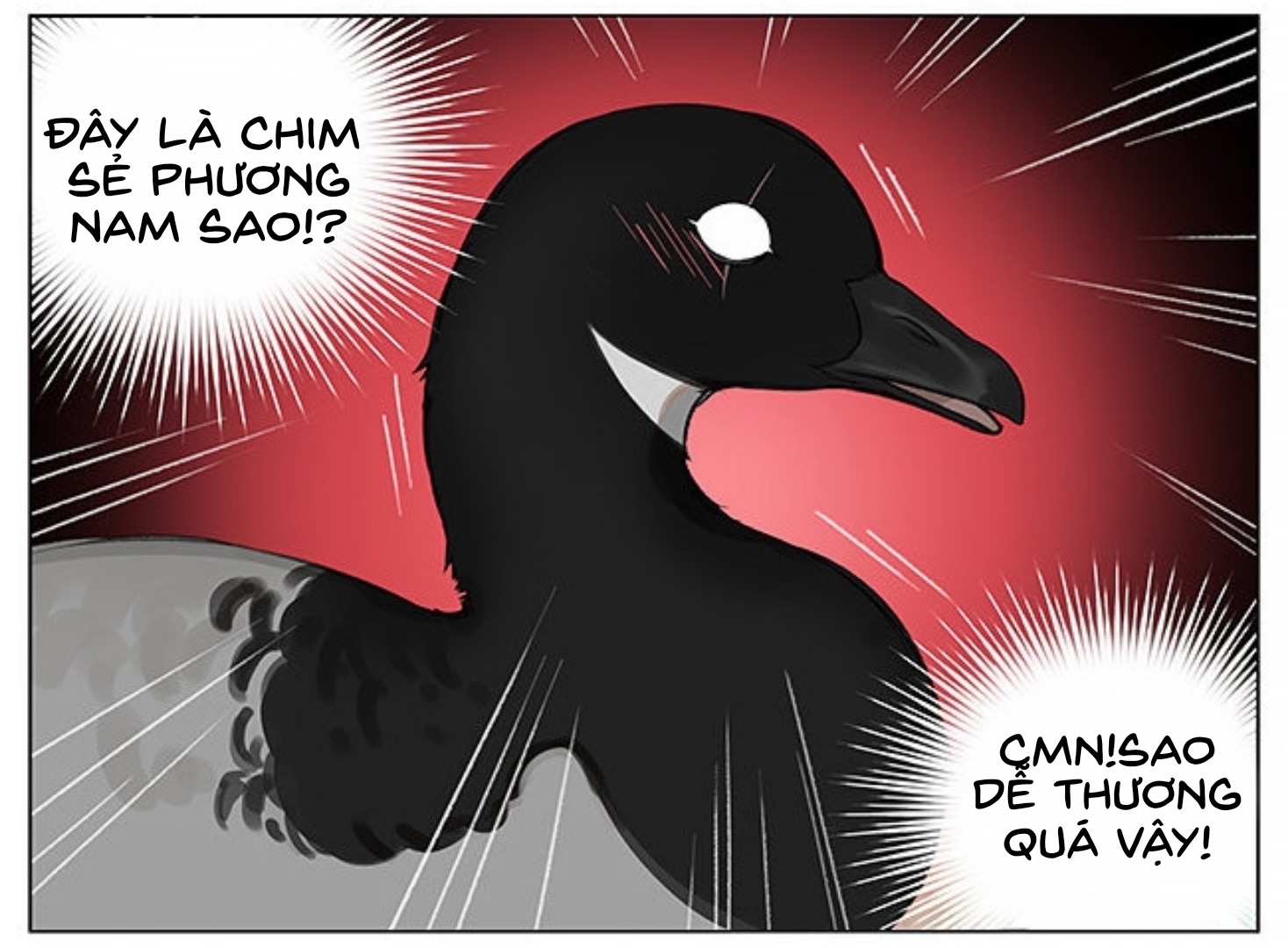 sẻ chiếu mới và nhạn phong sương chapter 1 6