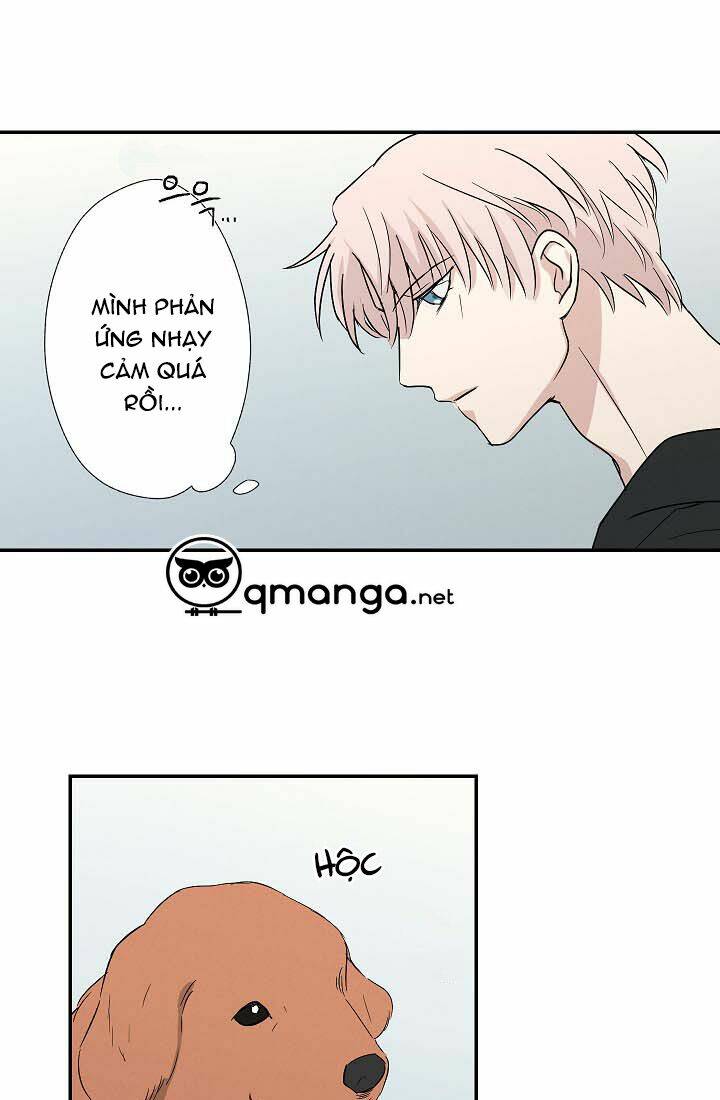 trốn tìm chapter 13 3