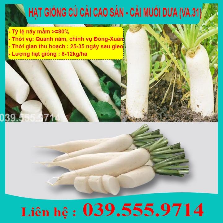 Hạt Giống Củ Cải Trắng 20gram - Củ Cải To Trắng, Giống Chuẩn