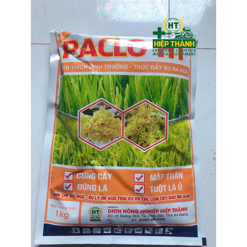 Phân bón vi lượng Paclo 1kg - Hiệp thành giúp cứng cây, mập thân, lá xanh