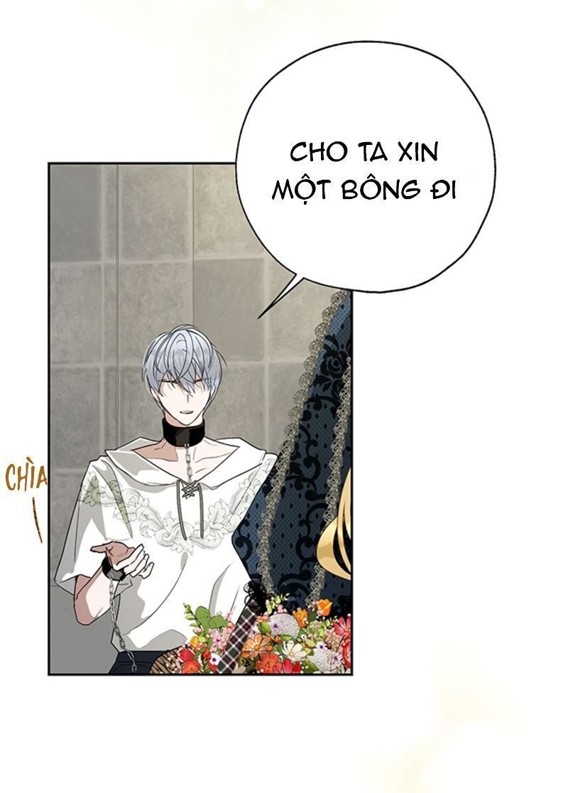 cách để cứu rỗi anh trai của nữ chính chapter 19 47