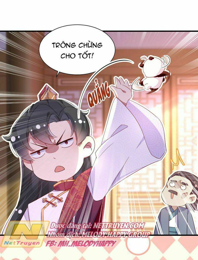 thiên thần gấu trúc muốn được ôm chapter 39 6