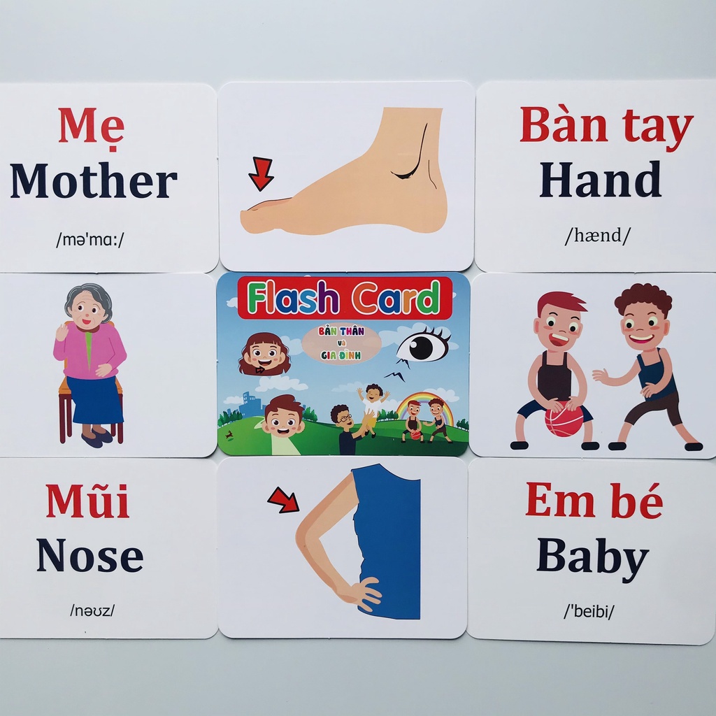 Bộ Thẻ Học Thông Minh 19 CHỦ ĐỀ Loại To Song ngữ tiếng Anh loại chuẩn Glenn Doman Flashcard cho bé từ 0-6 tuổi