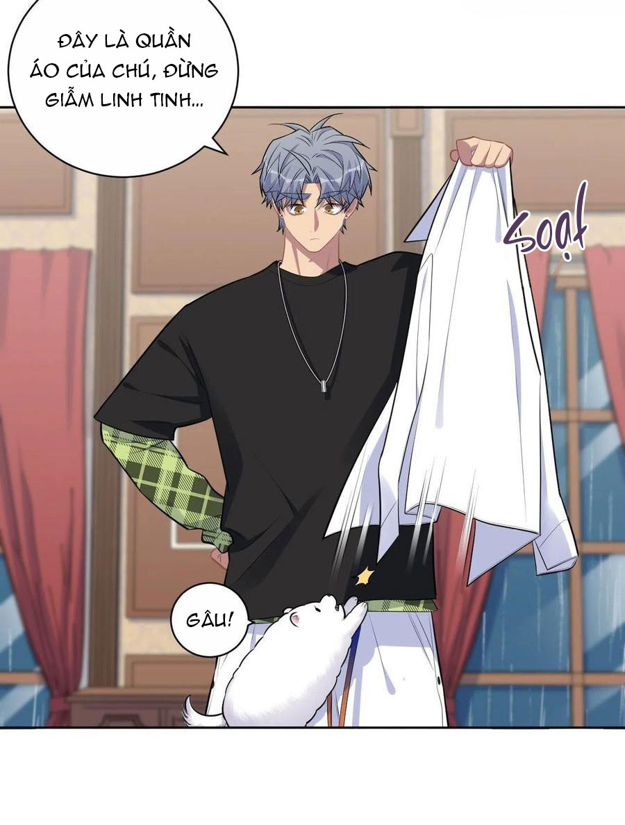 bố vợ đại nhân là bà xã chapter 157 10