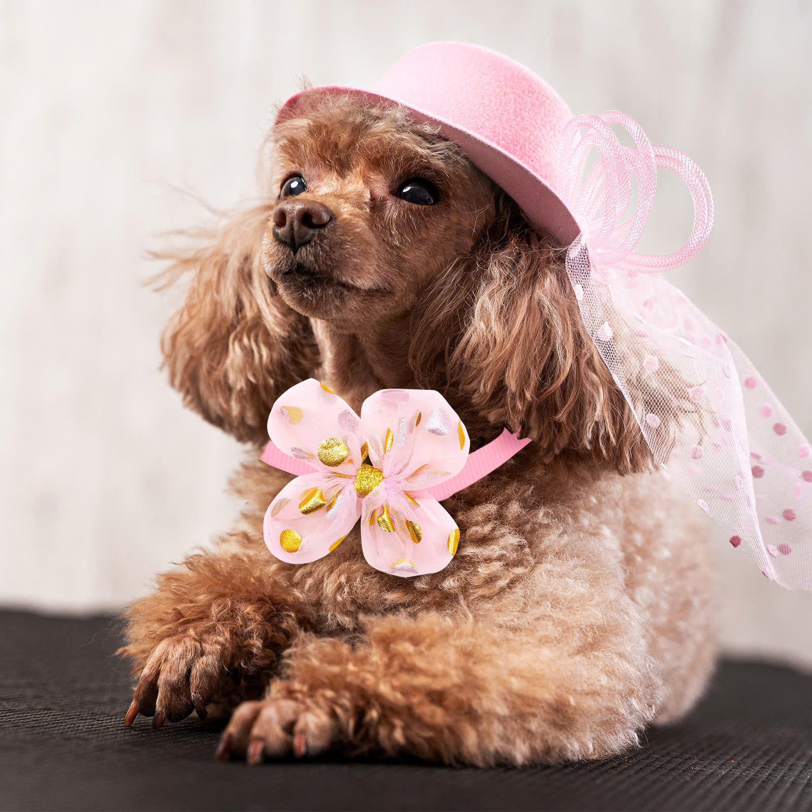 VÒNG CỔ THẮT NƠ DỄ THƯƠNG SANG TRỌNG NƠ REN ĐÍNH SEQUIN SIZE 22-40CM CHO THÚ CƯNG CHÓ MÈO