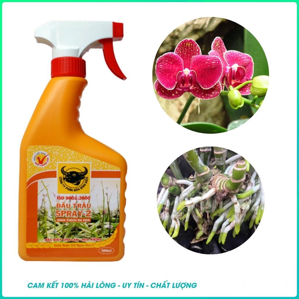 Phân Bón Đầu Trâu SPRAY 2 Kích Thích Ra Hoa Cho Lan