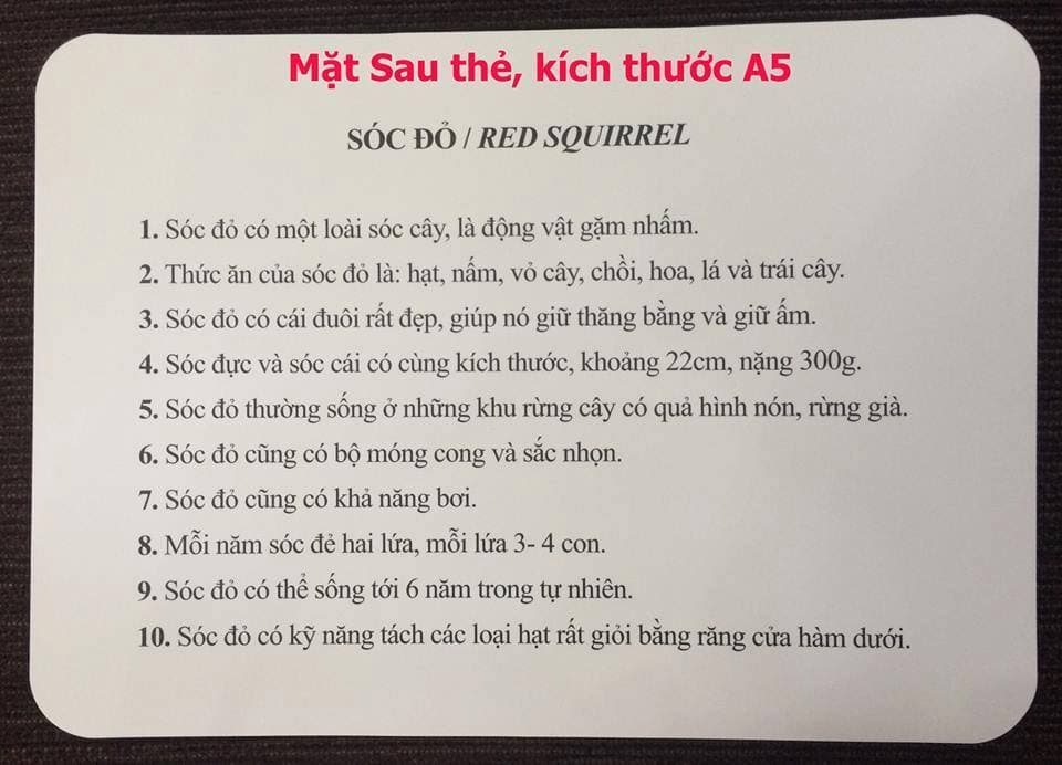 Flashcard Thế Giới Xung Quanh theo phương pháp Glenn Doman  _ Dạy trẻ thông minh sớm