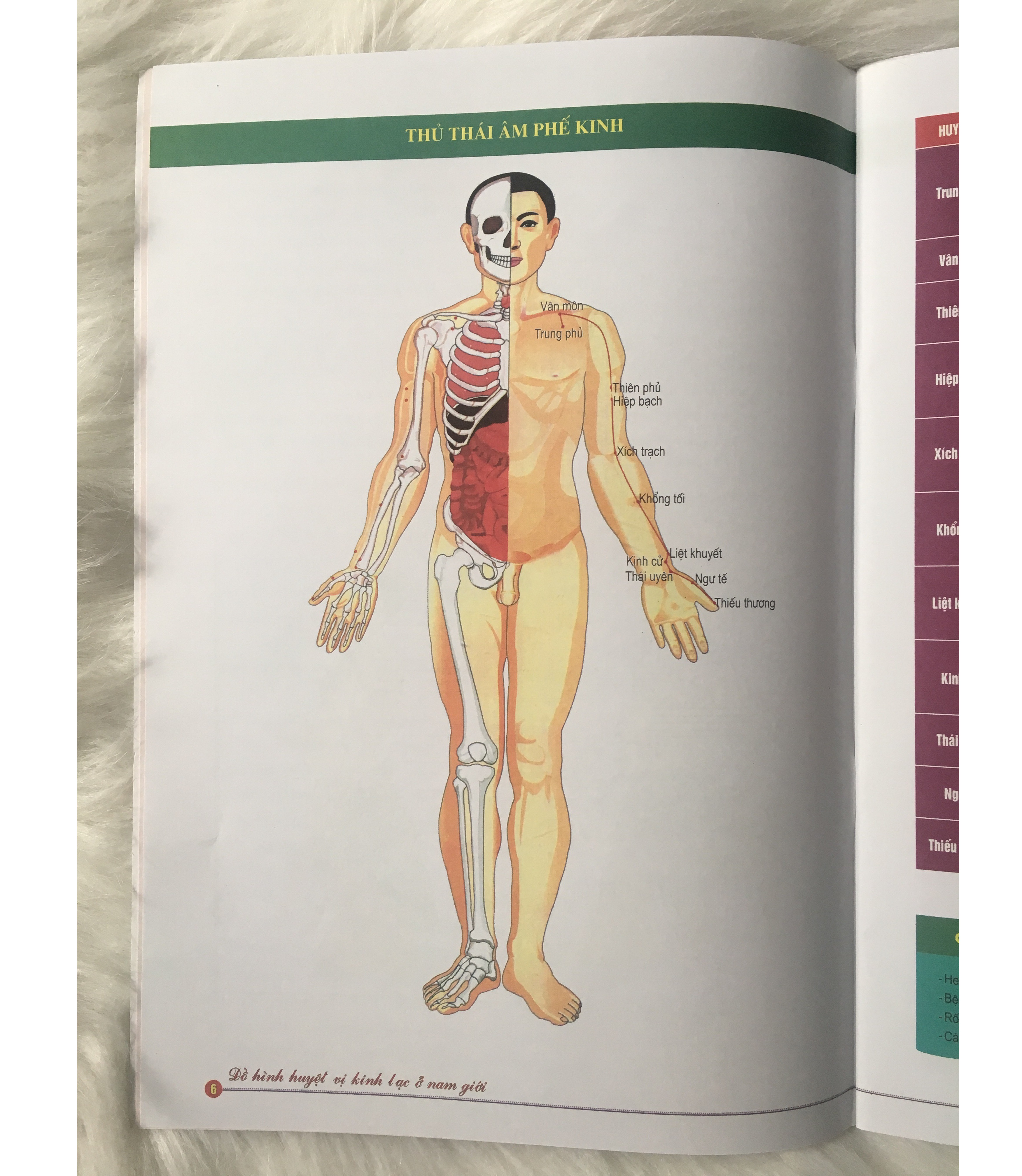 Đồ Hình Huyệt Vị Kinh Lạc Ở Nam Giới - Tặng Kèm Bookmark GIGA