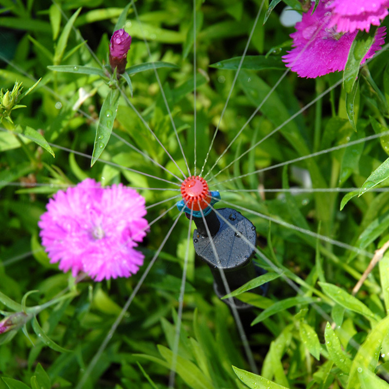 Thiết bị tưới cây OMEGA-42