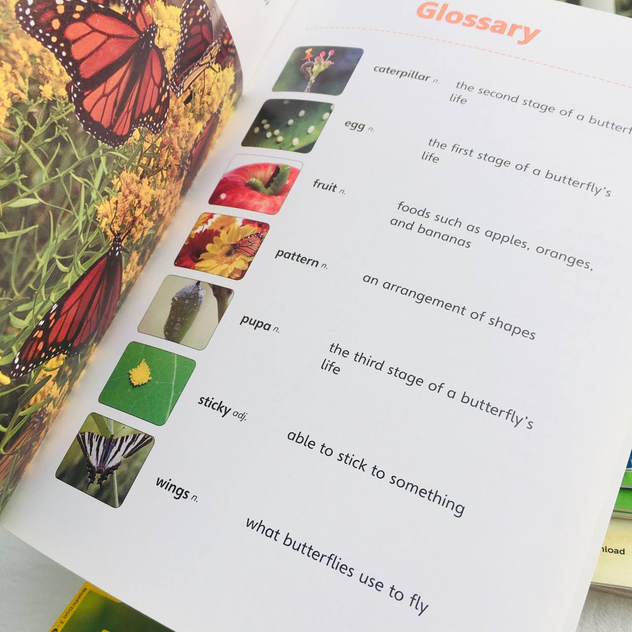 The Life of the Butterfly - Leveled Reader with Downloadable Audio Free - Sách chuẩn nhập khẩu từ NXB Compass