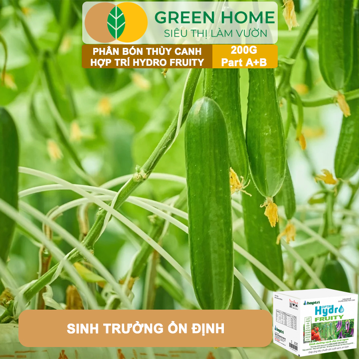 Phân bón Hợp Trí Hydro Fruity GreenHome, Hộp 200g (Part A+B), Chuyên Cho Cây Ăn Trái Trồng Thủy Canh