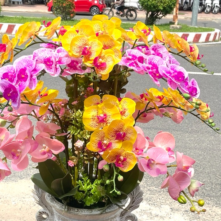 Chậu Hoa LAN HỒ ĐIỆP  cao su nhân tạo trang trí nhà cửa