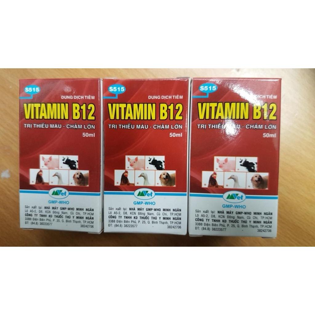 VITAMIN B12 LỌ 50ML CHUYÊN DÙNG CHO LAN - GIÚP TRỪ NẤM BỆNH CHO CÂY SAU MỘT THỜI GIAN MƯA DÀI