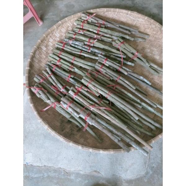 Cây Thông Noel Trang Trí Bằng Củi Khô không kèm dây và phụ kiện