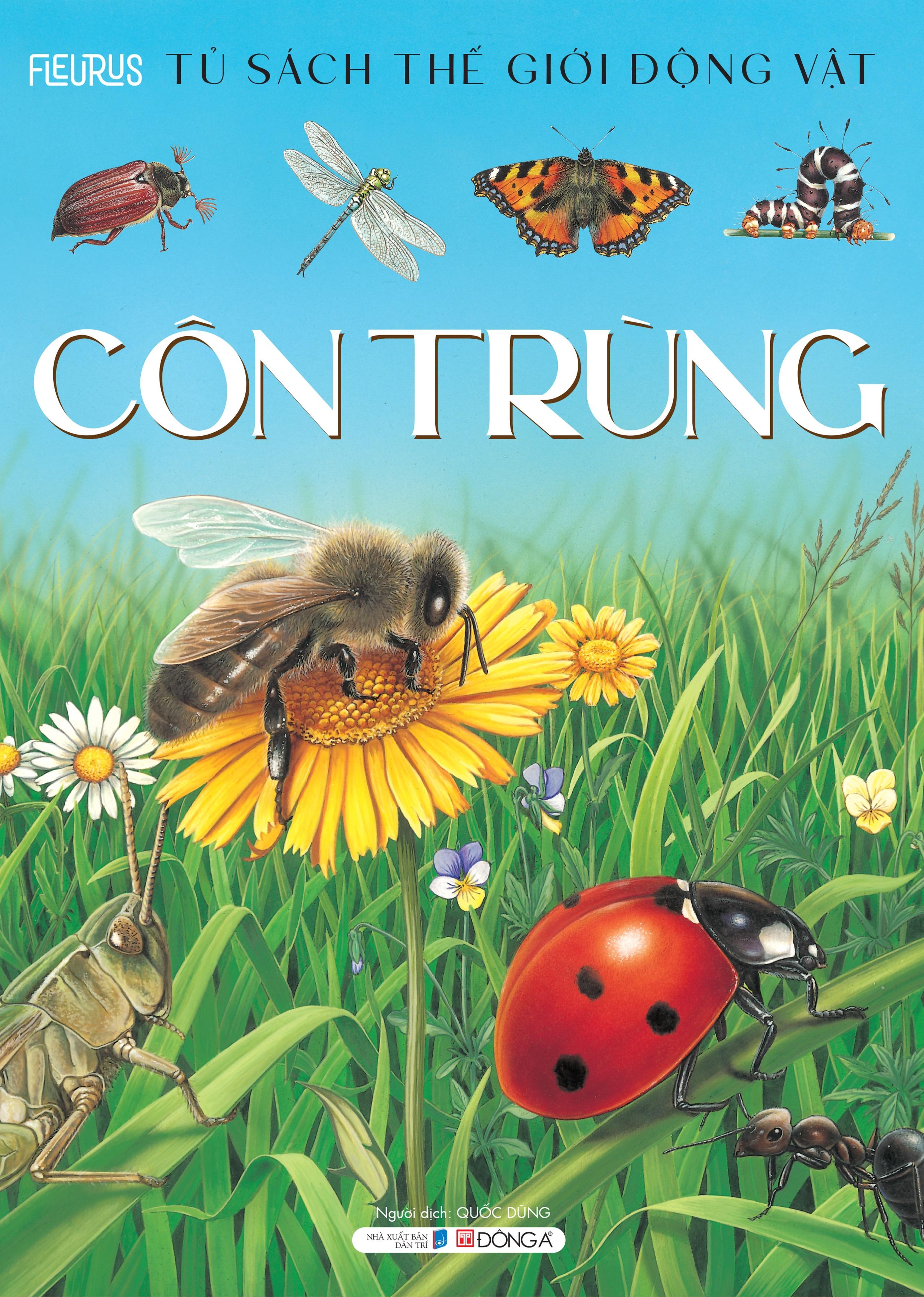 Thế Giới Động Vật - Côn Trùng