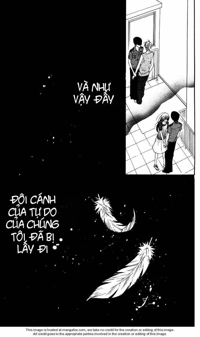 hitoribocchi wa samishikute chapter 9 31