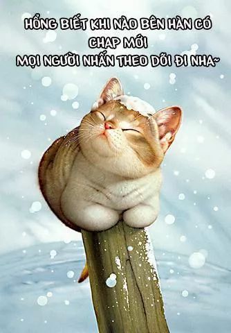 trọng sinh trở thành hoàng phi chapter 102 29