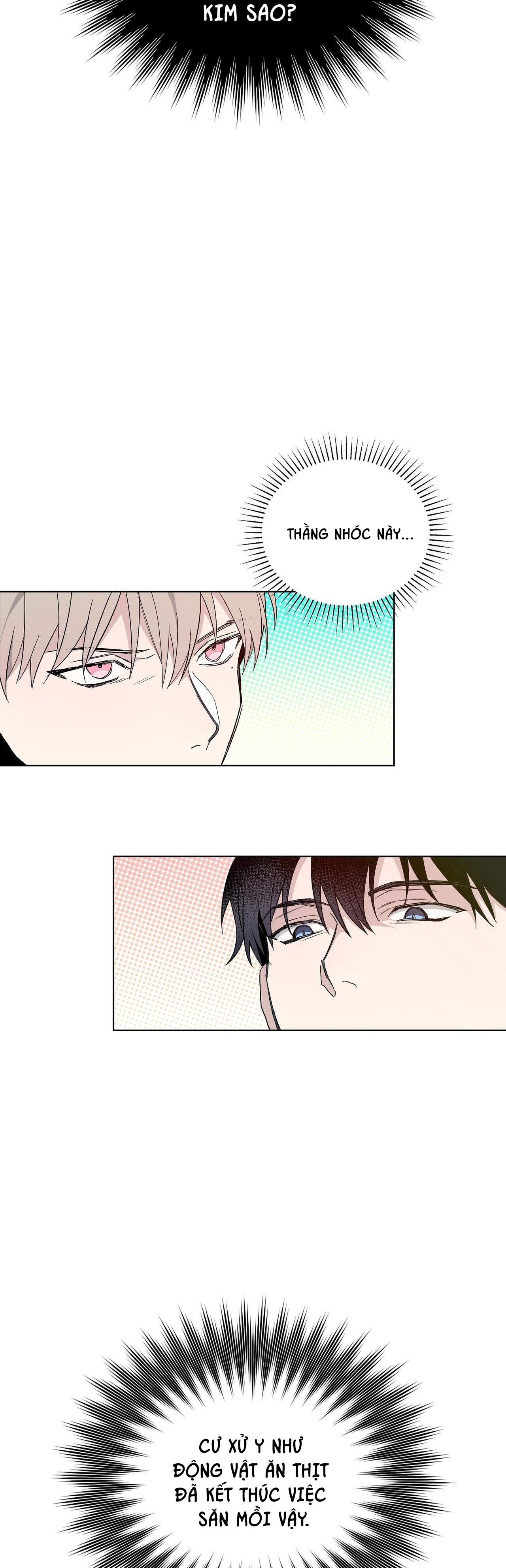 blaze out chapter 11 28