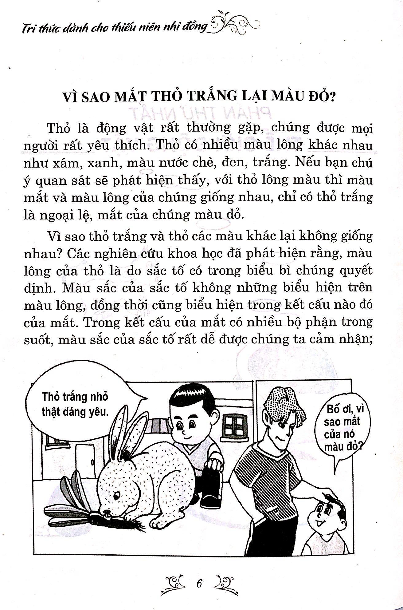 10 Vạn Câu Hỏi Vì Sao? (Tái Bản 2023)