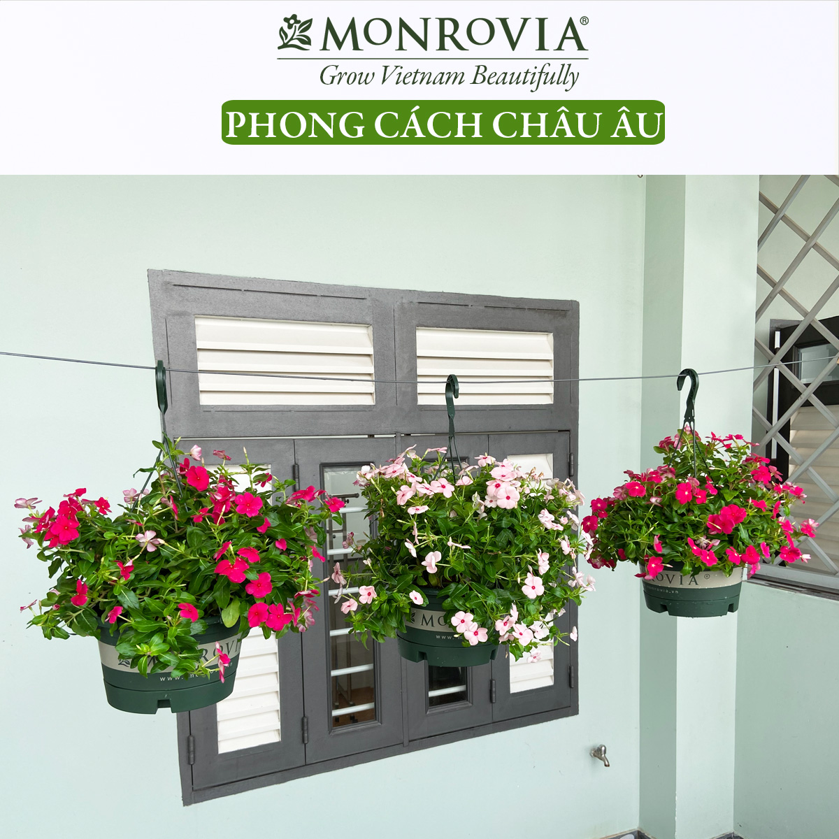 Hình ảnh 3 Chậu treo trồng cây MONROVIA Size S, Dòng T-series, chậu nhựa treo trang trí, trồng cây cảnh ban công, chậu trồng hoa, thiết kế tinh tế, thoát nước tốt, nhựa cao cấp PP, nhập khẩu, tiêu chuẩn Châu Âu