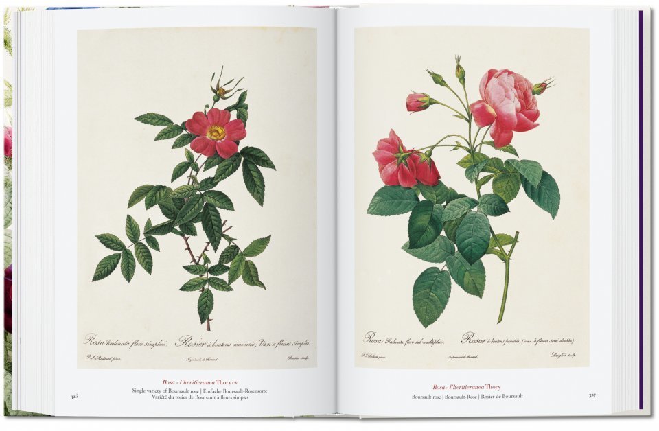 The Book of Flowers. 40th Ed.