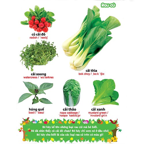 Sách: Từ Điển Tranh Về Rau - Củ - Quả - Hoa B55