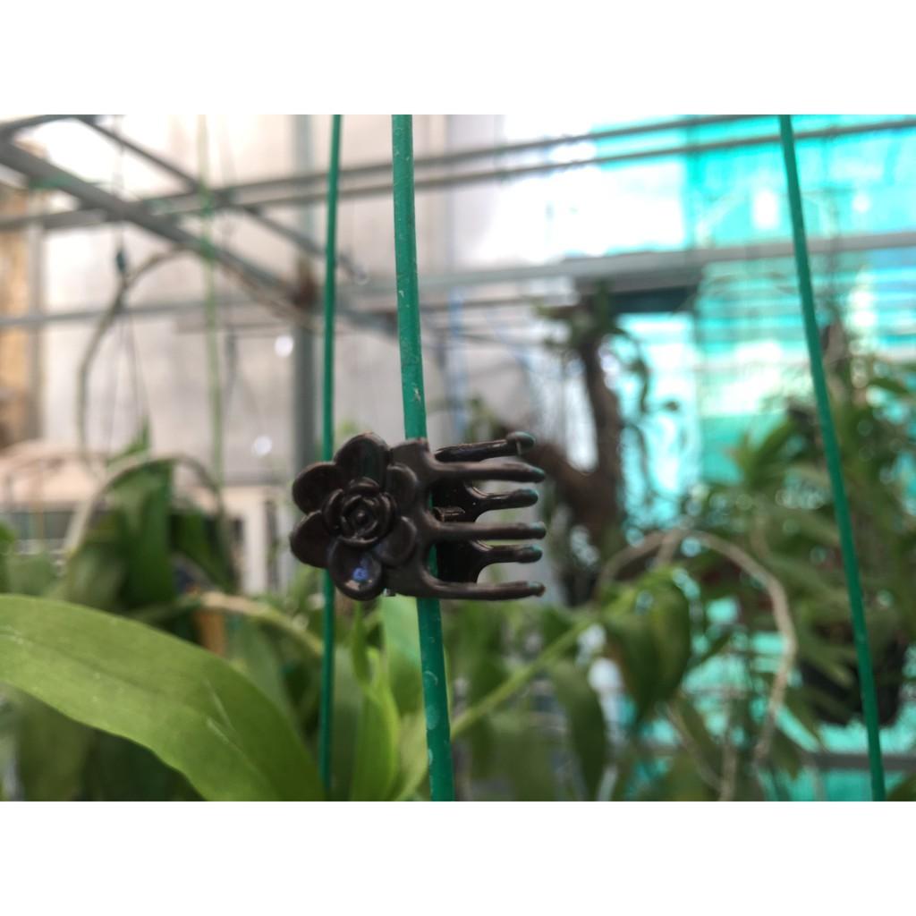 50 kẹp bướm bé để cố định hoa lan, cây cảnh