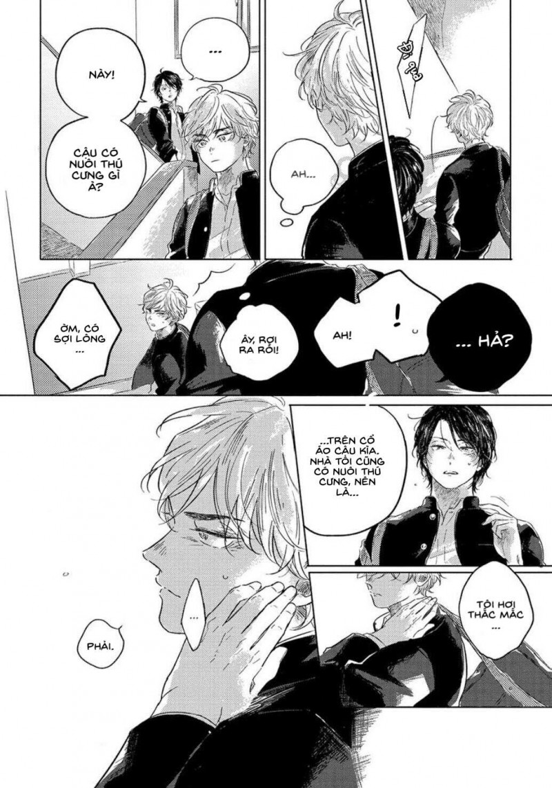 bokura no tsuzuki chapter 1 19