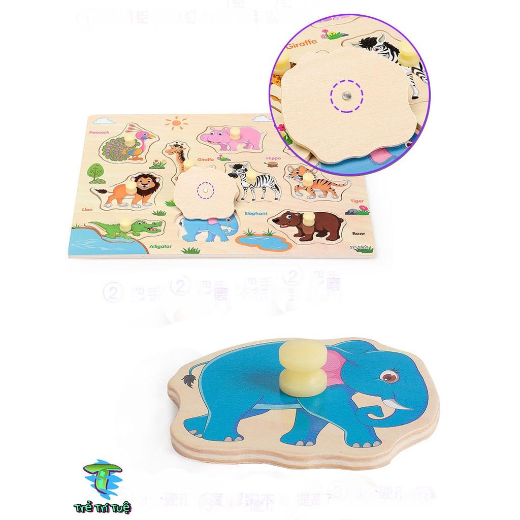 Bảng động vật nắm tay