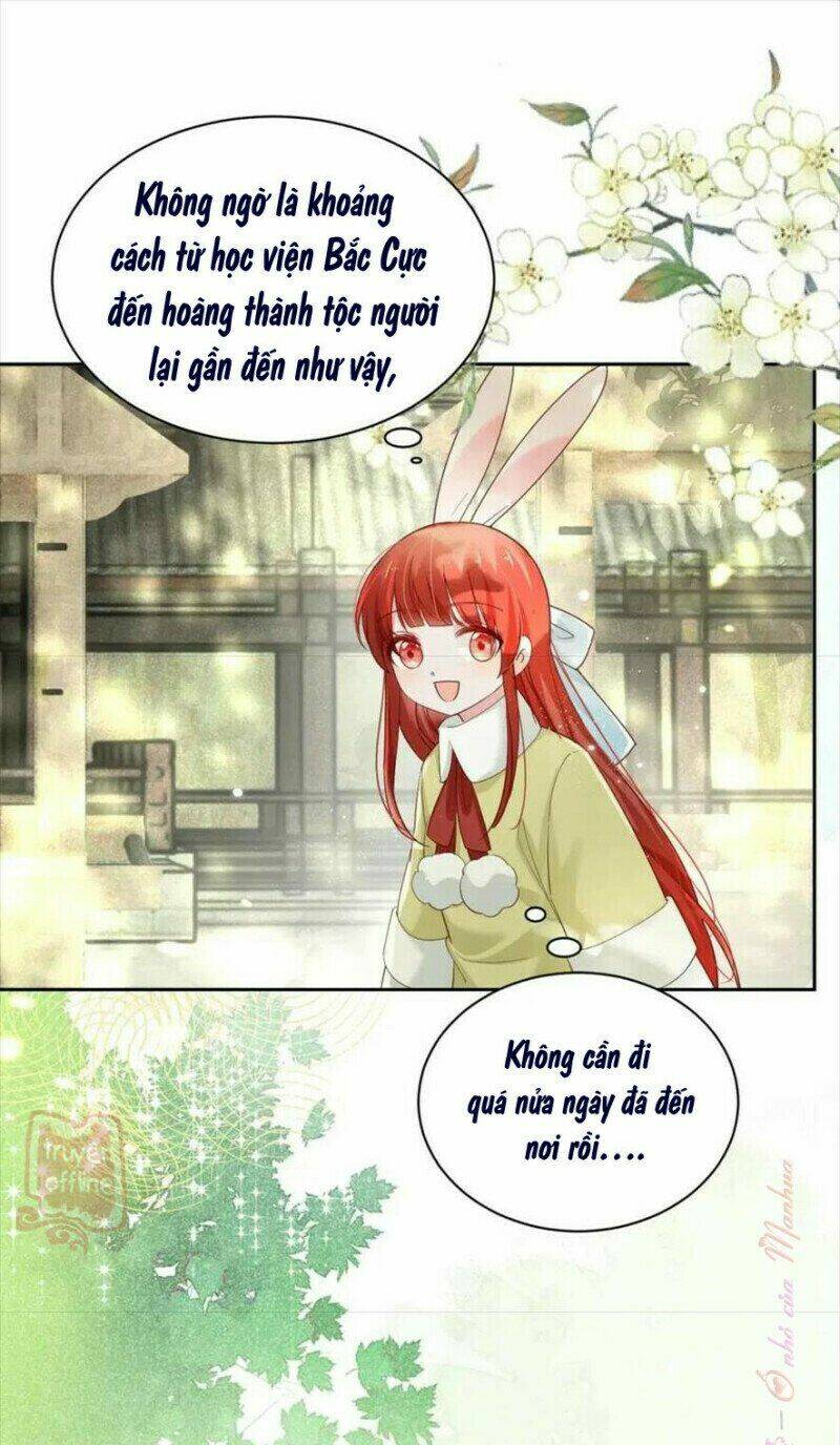 hắc hóa nam chính trực tuyến nuôi thỏ chapter 57 22