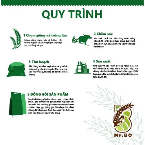 Gạo Đài thơm ĐT8 Mr. Bo túi 5kg thơm nhẹ, ngọt dẻo mềm cơm