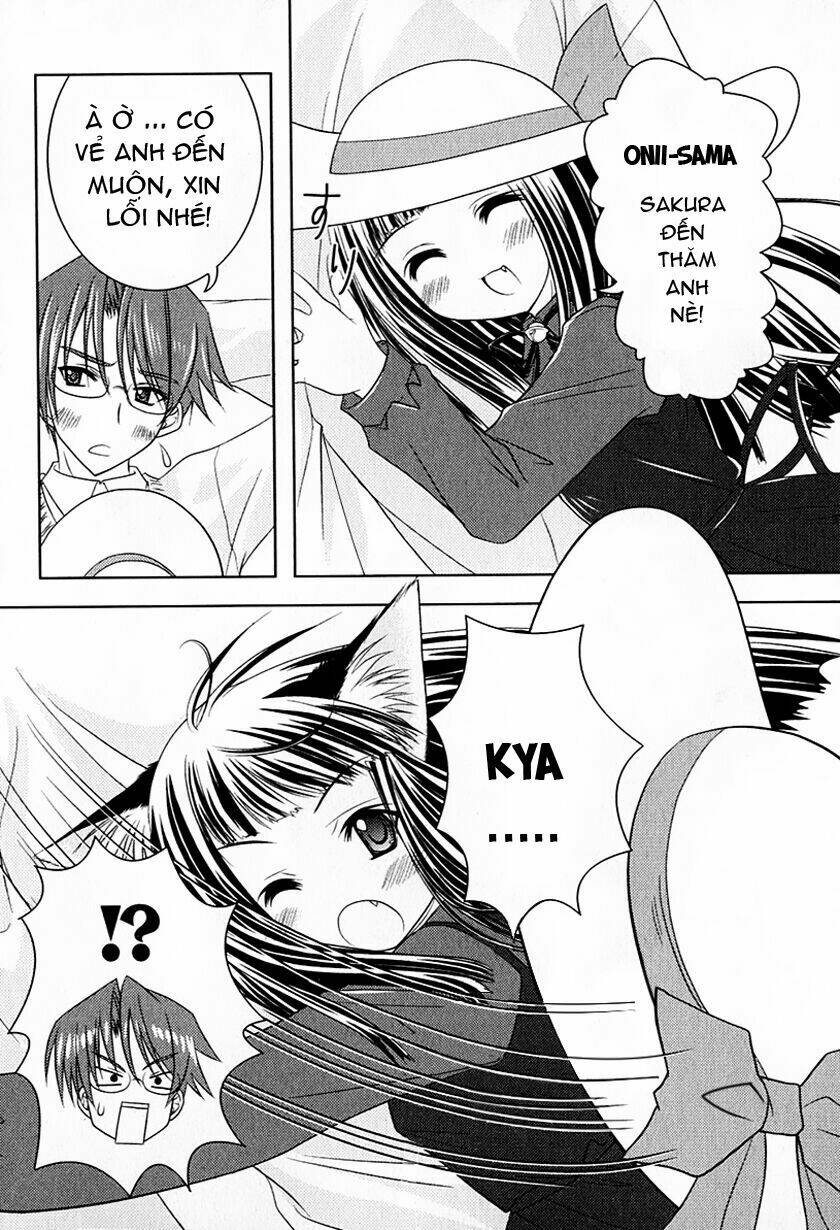 sakura no nekohime chapter 1 21