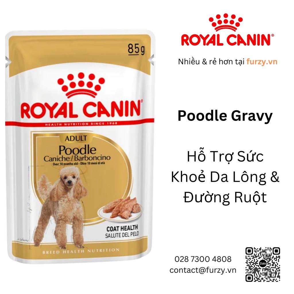 Royal Canin Thức Ăn Ướt Cho Chó Poodle Adult Gravy