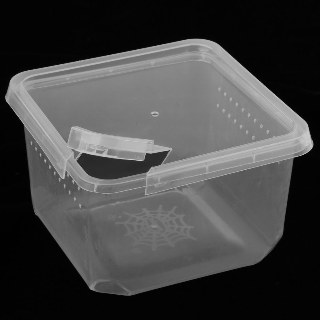 Reptiles Terrariums Feeding Box for Spider Insect Cricket Snail Frog L